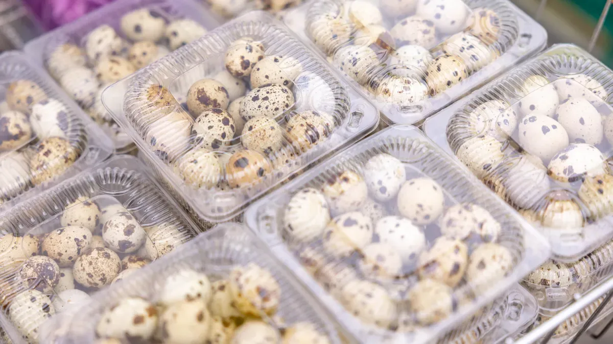 Choosing Clear Clamshell Containers for Food Service