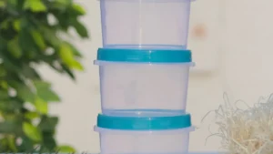 Plastic Takeout Containers for Hot and Cold Food