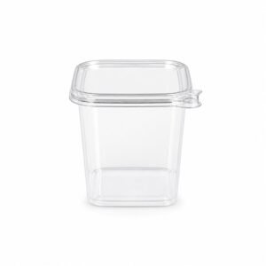 JMPK24 Clear PET Food Tub